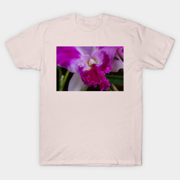 Iris T-Shirt by Rob Johnson Photography